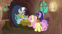 Zecora thanking Fluttershy S7E20