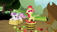 That's a good one Apple Bloom.