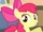 Apple Bloom