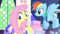 Fluttershy "On second thought" S5E1