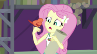 Fluttershy "did you just... talk?" EG4