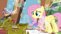 Fluttershy and Breezies looking at Seabreeze S4E16