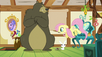 Fluttershy closing another windowshade S5E21