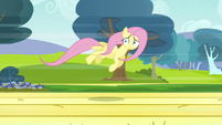 Fluttershy flying 3 S2E22