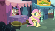 Fluttershy sweet S02E19