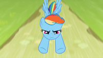 Rainbow Dash fly by S2E8