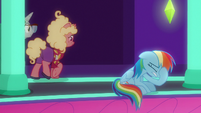 Rainbow Dash getting more frustrated S8E5