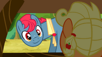 Smiling at filly Applejack S3E8