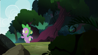 Spike runs from the forest!