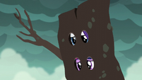 Twilight and Rarity in a log looking worried S6E5