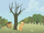 Applejack hitting a dead tree S01E04.png