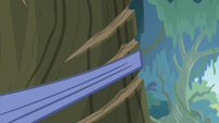 Costume elastic stretching around a tree S9E12