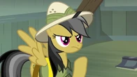 Daring Do upset S04E04.png