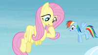 Fluttershy and Rainbow sees horseshoe falling down S4E10