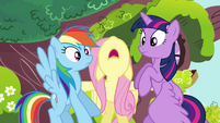 Fluttershy tells Rainbow and Twilight to "Stop!" S4E21