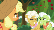 Goldie and Granny messing with Applejack S9E10