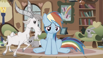 Poor Rainbow Dash. She is so cute when she's sad.