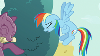 Rainbow Dash weak with hunger S5E19