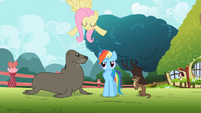 Rainbow Dash with animals S2E7