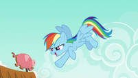 Rainbow says "gotcha!" to Applejack S6E15