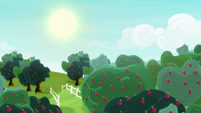 Sun shining over Sweet Apple Acres S8E18