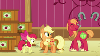 AJ, Apple Bloom, and Big Mac hear Granny laughing S6E23