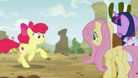 Apple Bloom appears before Twi and Fluttershy S9E22