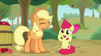 Apple Bloom gasping with delight S9E10