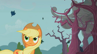 Applejack windswept hair from the first sign S2E12