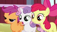 Apple Bloom and her friends can't believe what they see