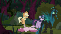 Chrysalis leads her minions through the forest S8E13