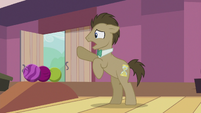 Dr. Hooves calling out to Derpy S5E9