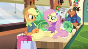 Fluttershy "gifts for Spike or Rainbow Dash" MLPBGE