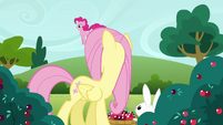 Fluttershy 'Oh Pinkie Pie' S3E3