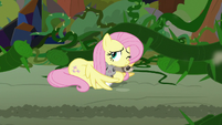 Fluttershy and animals freed from vines S9E2