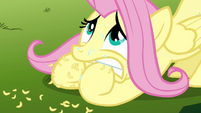 Fluttershy chewing on her hoofs S3E5