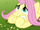 Fluttershy chewing on her hoofs S3E5.png