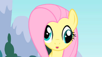 Fluttershy derpy eyes S01E16