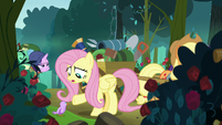 Fluttershy helping a little bird S8E13