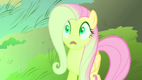 Fluttershy sees flash of green magic S4E23