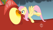 Fluttershy starrt dem Drachen in die Augen S1E07