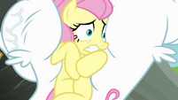 Poor Fluttershy.