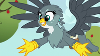 Gabby "anygriffon has ever been about anything!" S6E19