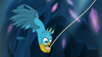 Gallus catches the rock in his claws S9E3