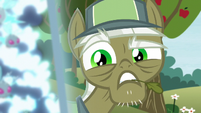 Pest pony "from destroying half of Equestria!" S5E04