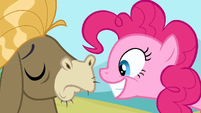 Pinkie Pie well...smile S2E18