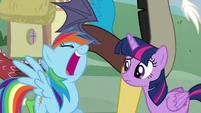 Rainbow laughing S5E22