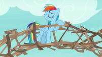 Rainbow leaning on her branch bridge S8E9