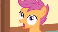 Scootaloo horrified at the prospect of a song S1E23