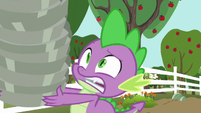 Spike nearly drops the pie plates S6E10